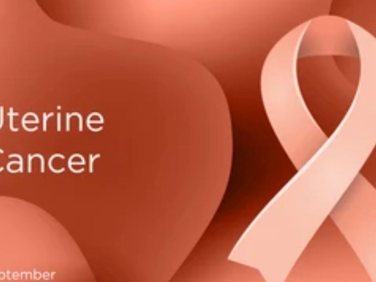 Fundraiser’s main image