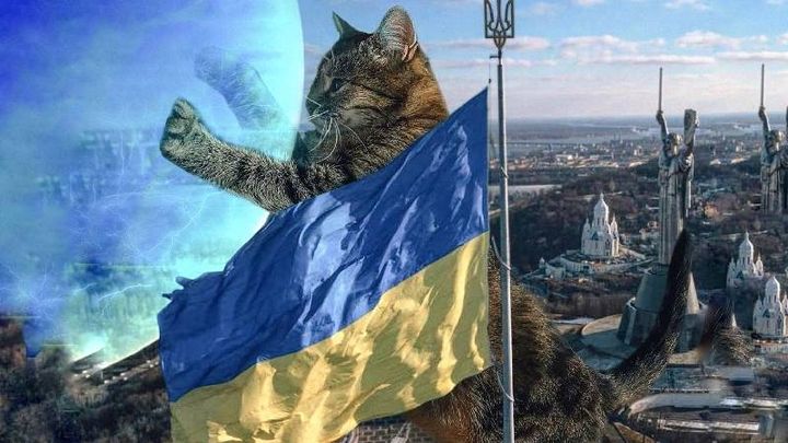 Help Ukraine small animal shelters campaign photo, 1 of 3