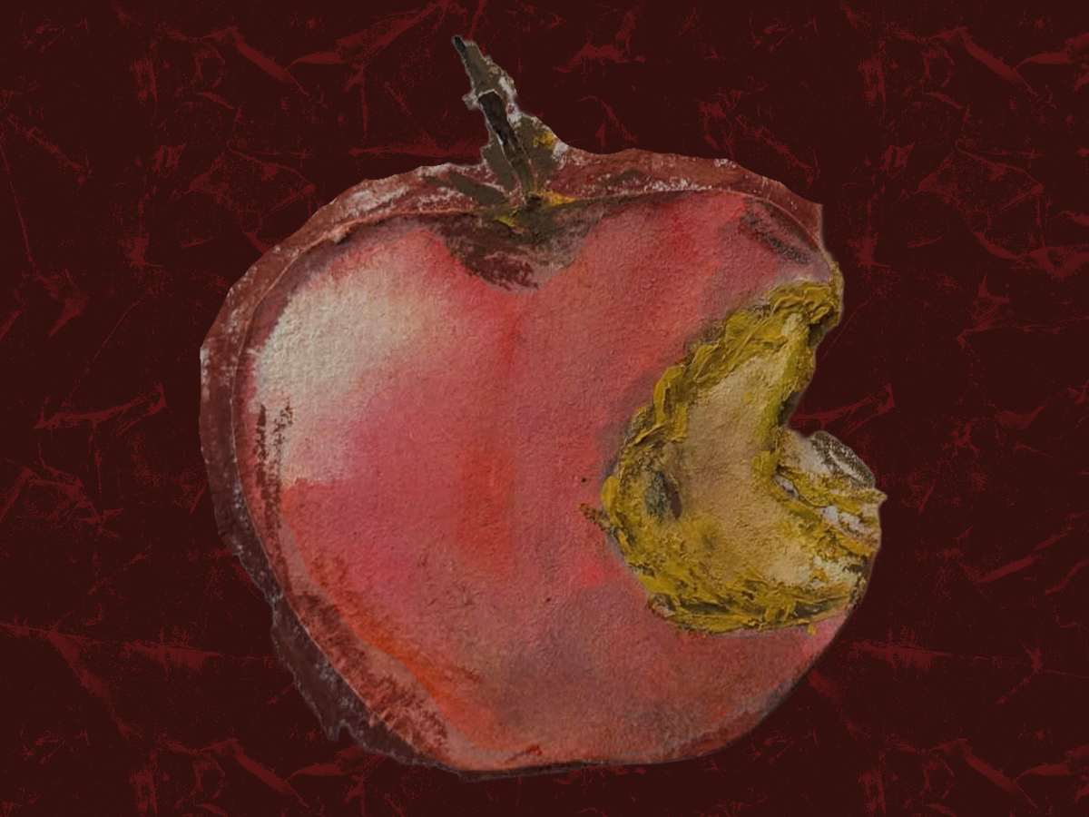 Fundraiser’s main image