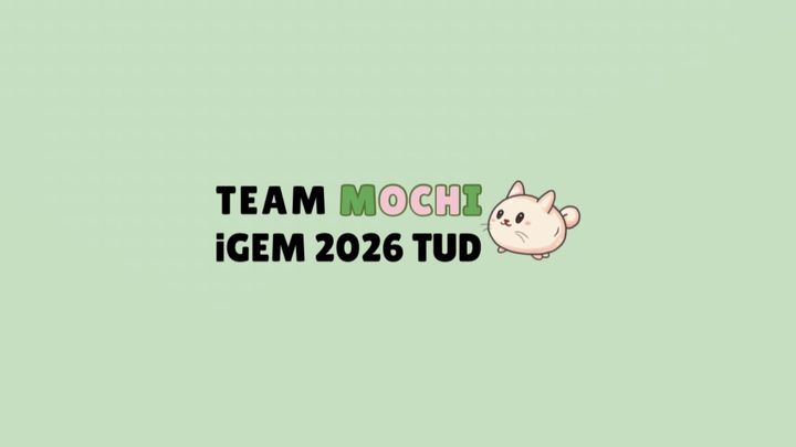 Unterstützung für das iGEM-Team TU Dresden 2026 MOCHI campaign photo, 1 of 6