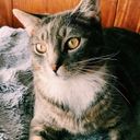 Profile photo of Jaylee Zeigler