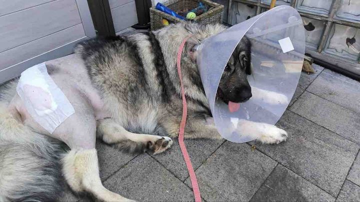 Hoofdafbeelding inzamelingsactie