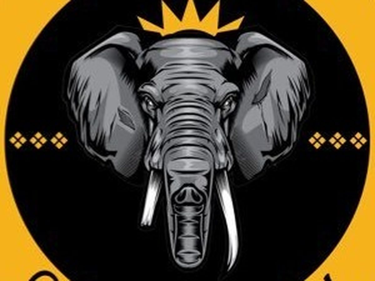 Fundraiser’s main image