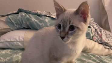 Bernie 