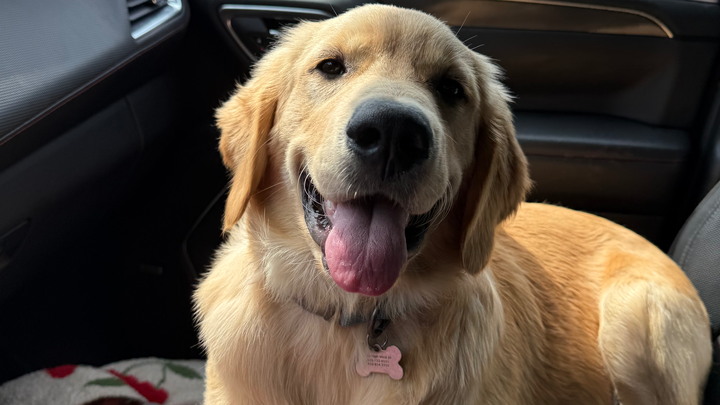 Sully’s Surgery! campaign photo, 1 of 5
