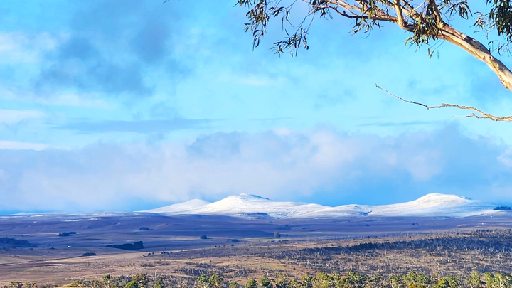 Donate to help save the unique MONARO PLAIN campaign photo, 1 of 3
