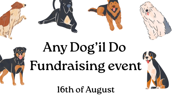 Main fundraiser photo