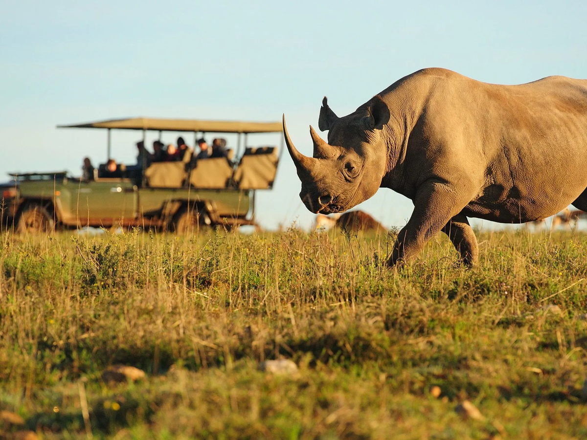 Duke of Edinburgh Residential supporting African Wildlife campaign photo, 1 of 6