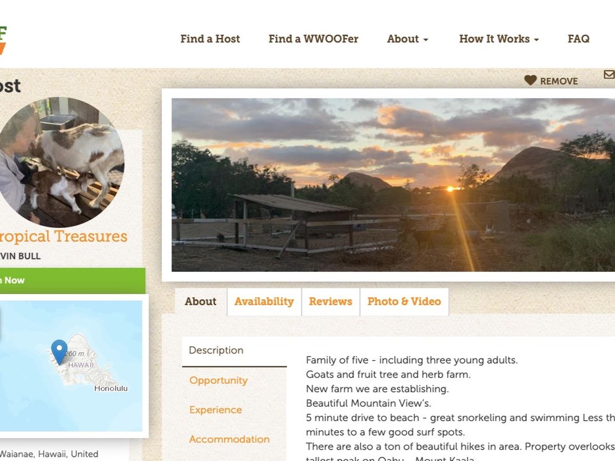 Fundraiser By Chloe Elmhurst Help Me Farm In Hawaii