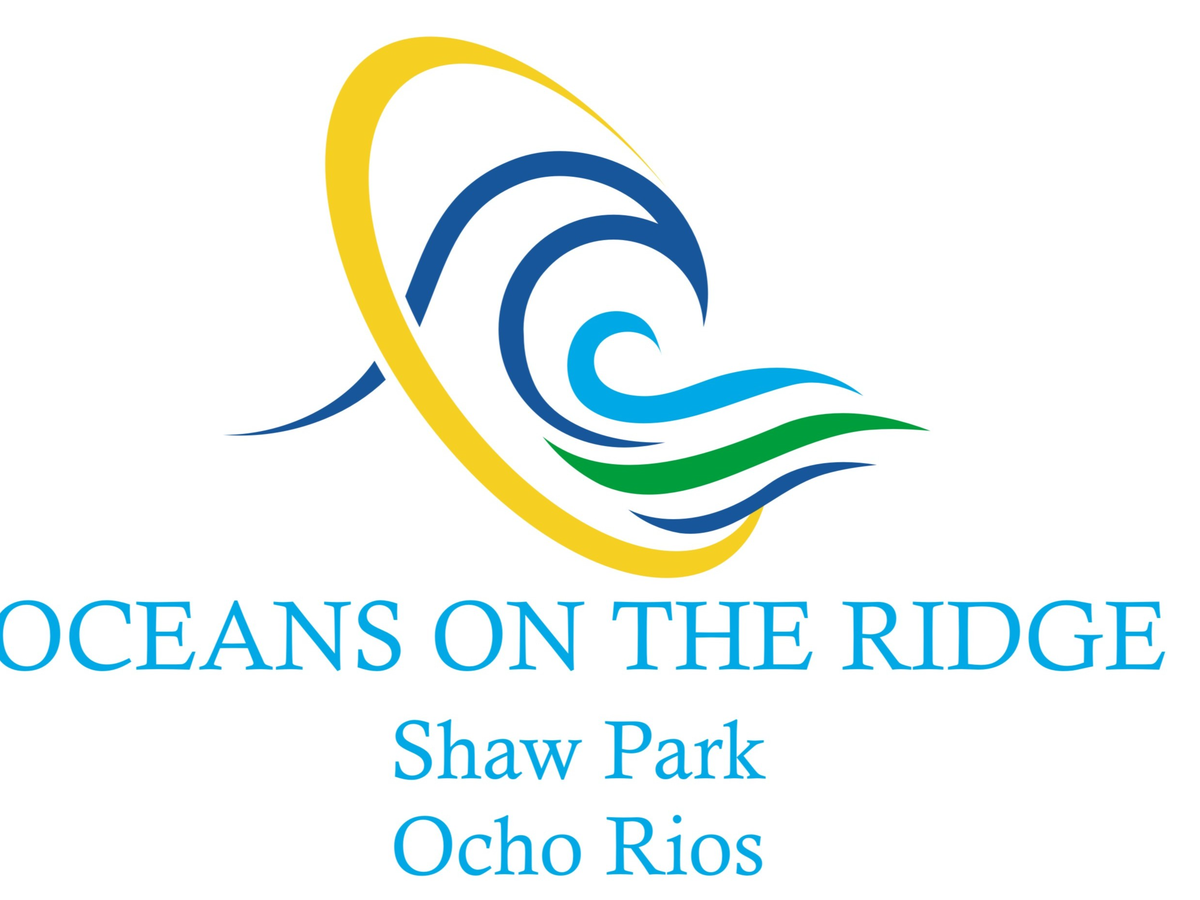 Fundraiser’s main image