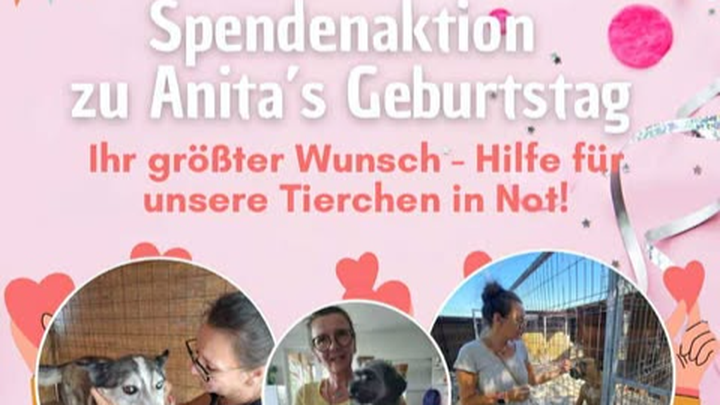 Anitas Geburtstagsspendenaktion für Pfote sucht Glück e.V. campaign photo, 1 of 4