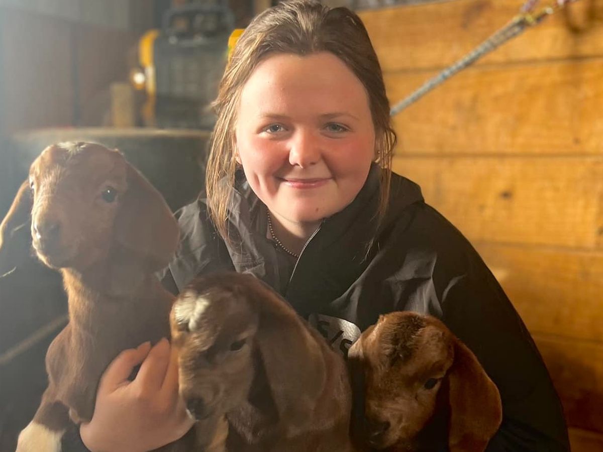 Fundraiser for Carrie Pollock by Jessie Rhodes : 4H Family Loses Barn ...