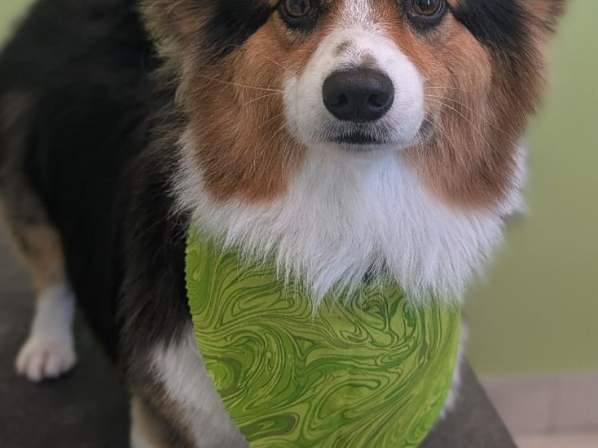 Fundraiser’s main image
