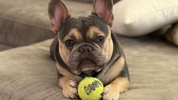 Help with Kingston’s Spinal Surgery campaign photo, 1 of 7