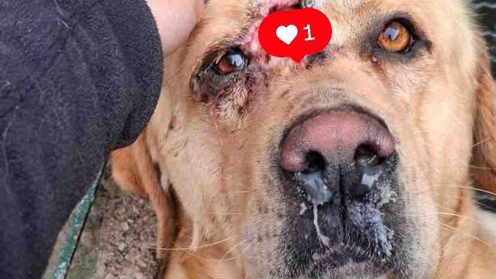 Main fundraiser photo