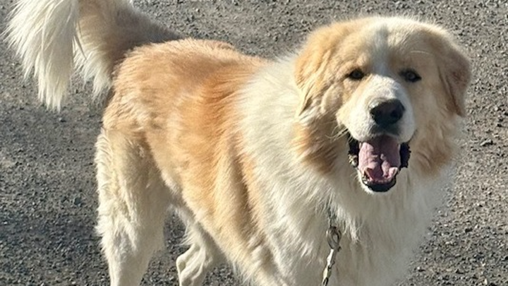 Sponsor Samuel’s Journey to a New Life campaign photo, 1 of 3