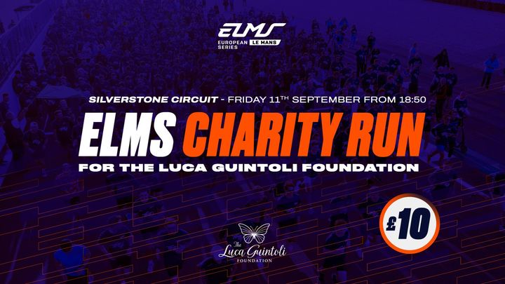 ELMS fundraising for the "Luca Guintoli Foundation" campaign photo, 1 of 4