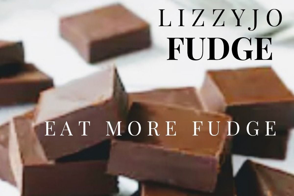 Fundraiser By Elizabeth Traub Lizzyjo Fudge Business Start Up