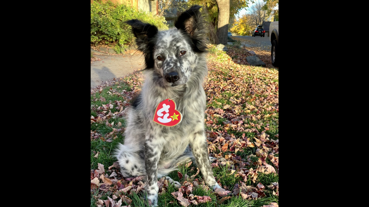 Piper Is A Fighter campaign photo, 1 of 2