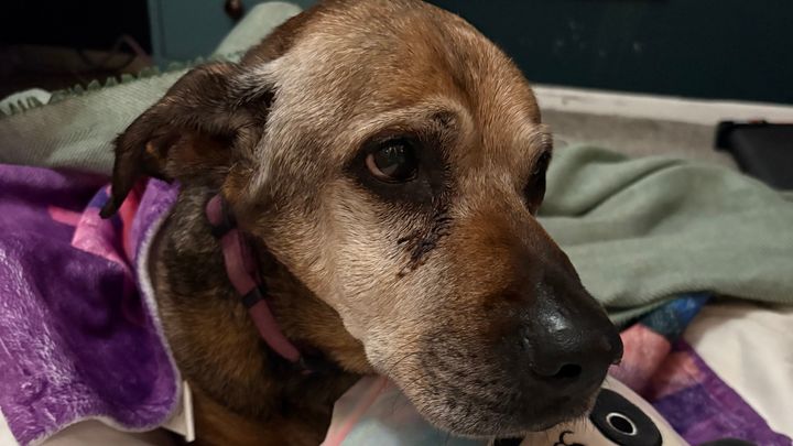 Help Cameron After Losing My Best Friend