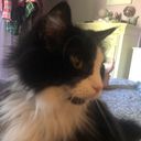 Profile photo of Koosie Mama