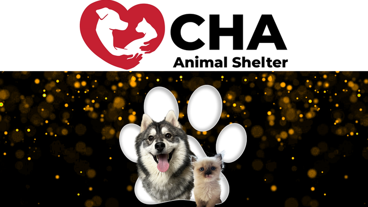 Fundraiser by CHA Animal Shelter Donate to CHA s Emergency