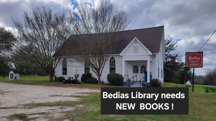 Bedias Library Needs New Books for All Ages campaign photo, 1 of 5