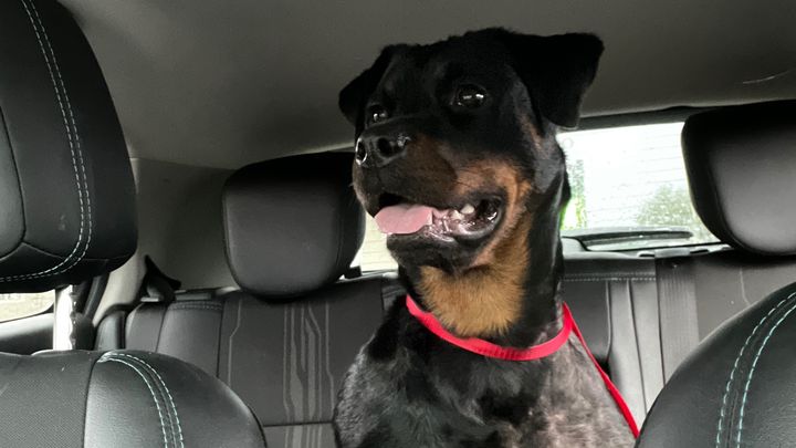 Help Nakita Heal: Surgery & Recovery Fund campaign photo, 1 of 8