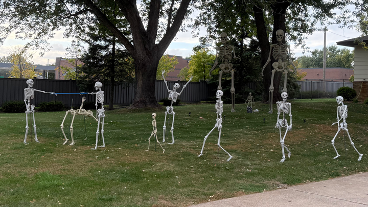 Help Restore Our Skeleton Display campaign photo, 1 of 4