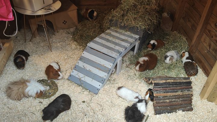 Main fundraiser photo