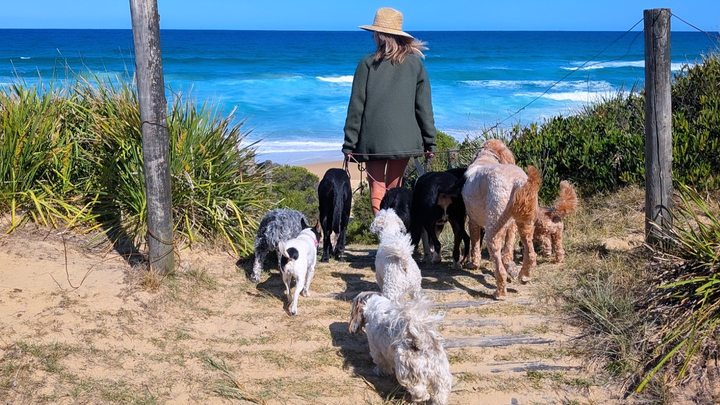 Help Lottie Keep the People & Puppers Rolling! campaign photo, 1 of 8
