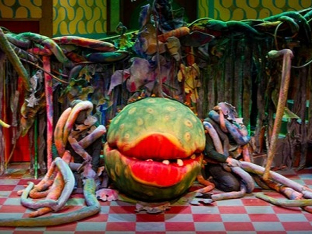 Fundraiser’s main image