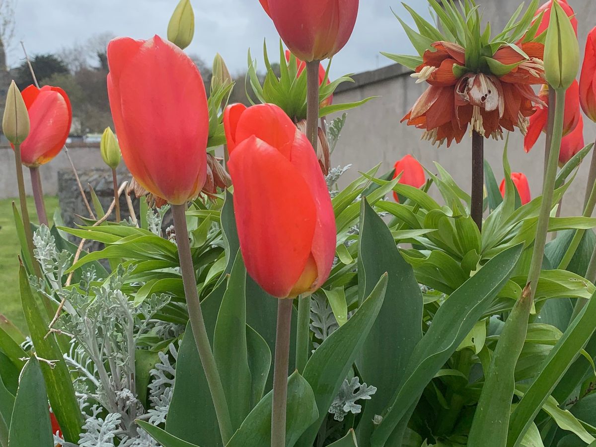Hauptbild des Spendenaufrufs