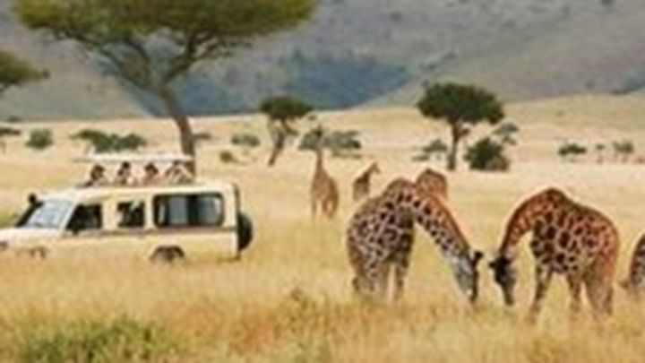 Ava goes to Kenya on a volunteering trip campaign photo, 1 of 3
