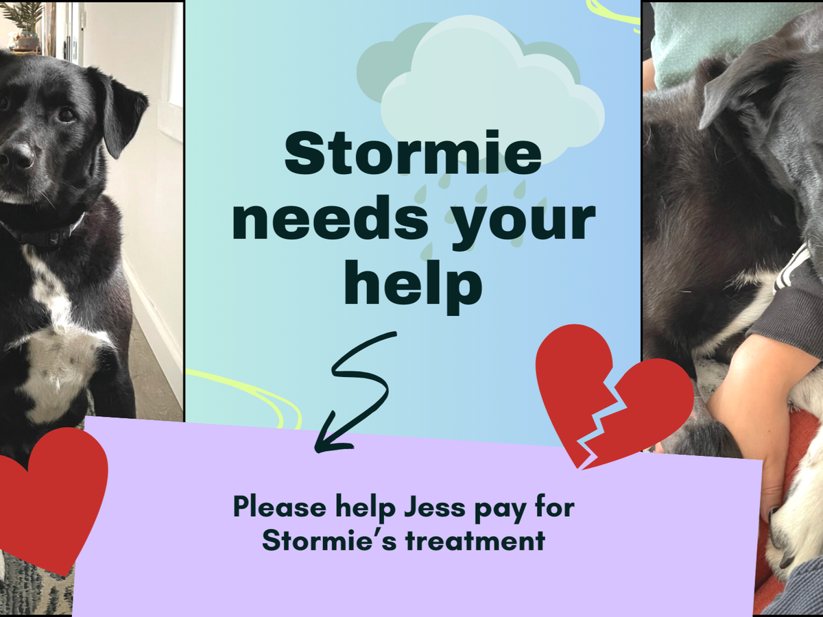 Fundraiser’s main image