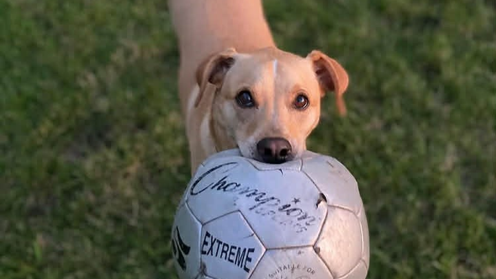 Help Beckett Defeat Liver Disease campaign photo, 1 of 8