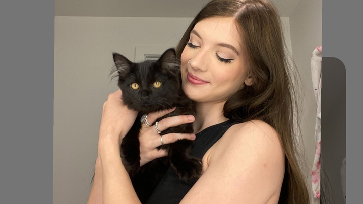 Hospitalized Loki needs urgent HELP! campaign photo, 1 of 3