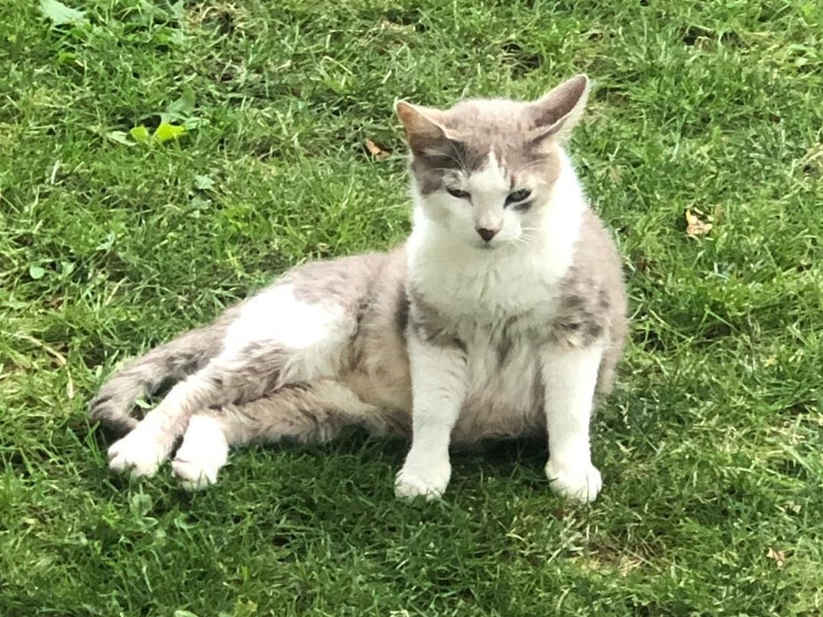 Fundraiser By Jonas Heitzmann Lebensnotwendige Hüft Op Für