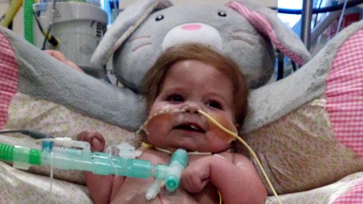 Main fundraiser photo