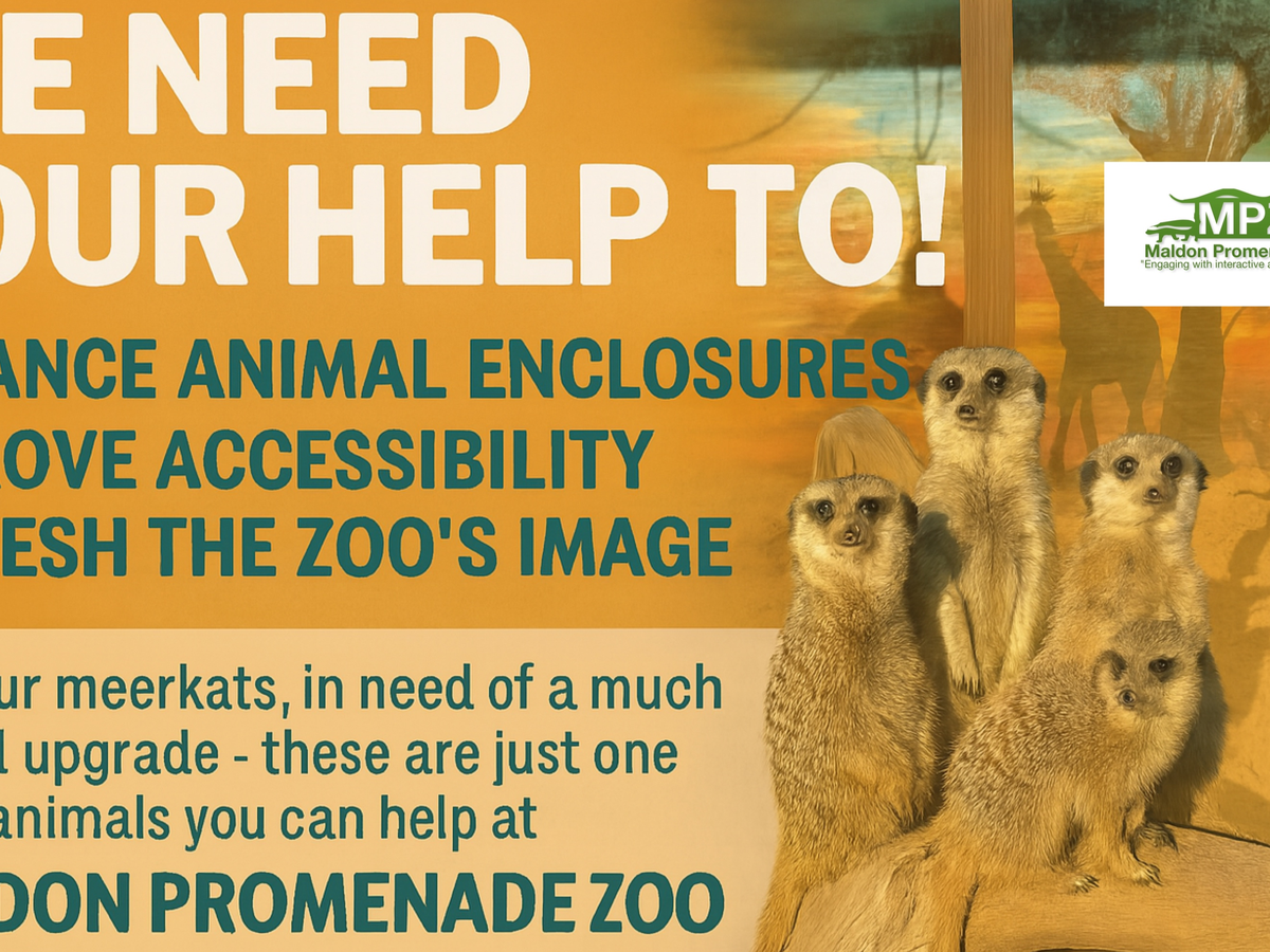 Fundraiser’s main image