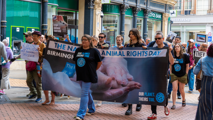 National Animal Rights Day Birmingham 2026 Fundraiser. campaign photo, 1 of 3