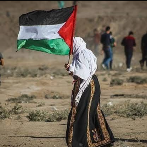 Help Ahmed,s family in Gaza 🇵🇸❤️‍🩹