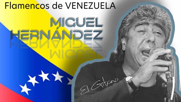 Let's support Flamencos de Venezuela campaign photo, 1 of 4