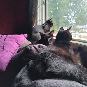 Penny and patrick miller