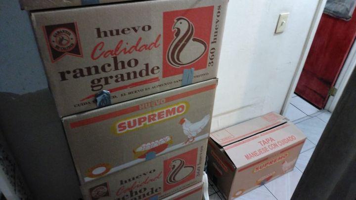 Foto principal da arrecadação