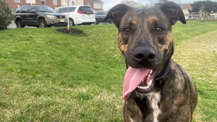 Please Help Dirk Get Life-Saving Surgery campaign photo, 1 of 6
