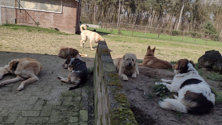 Hoofdafbeelding inzamelingsactie