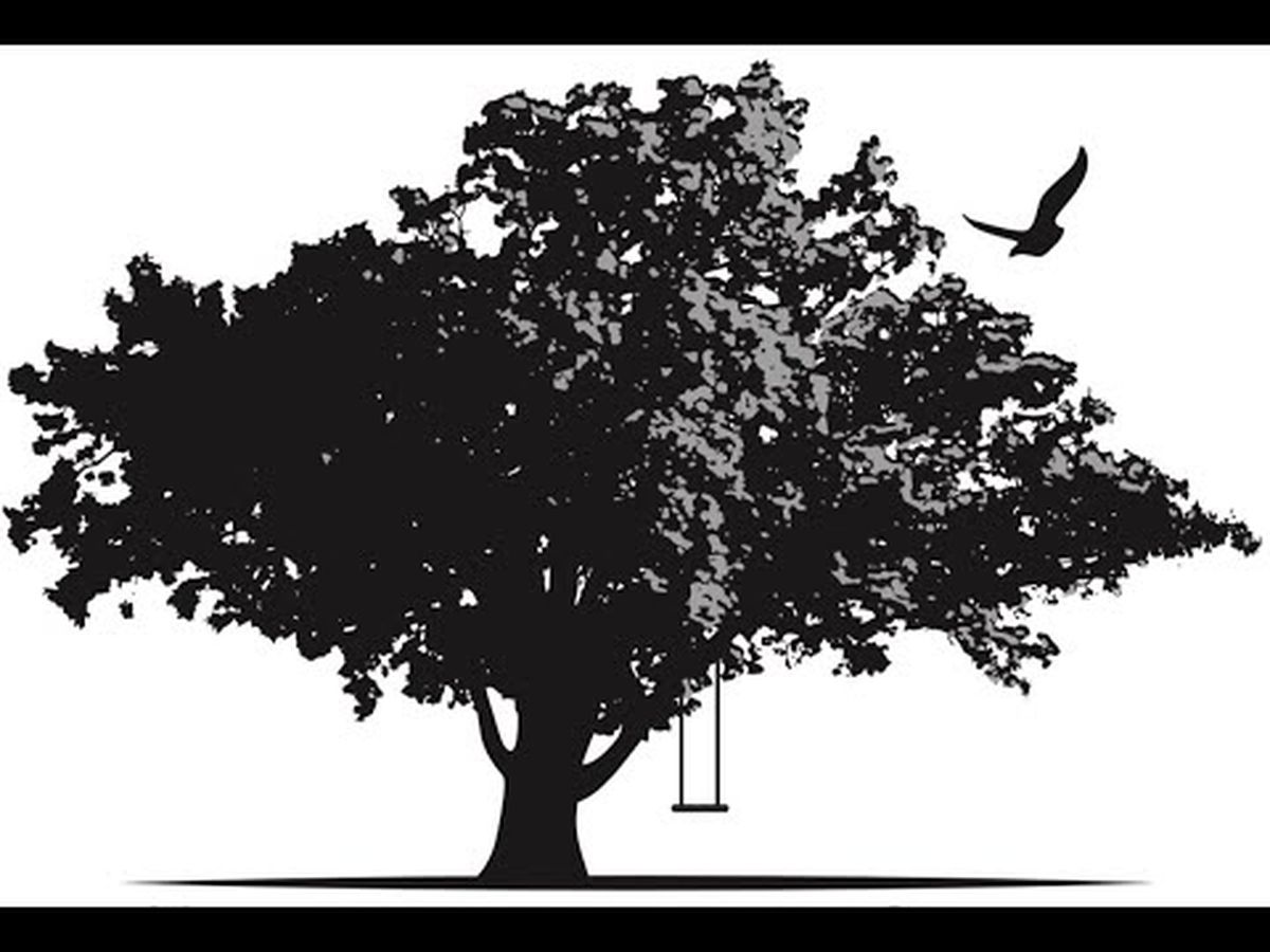 Fundraiser’s main image