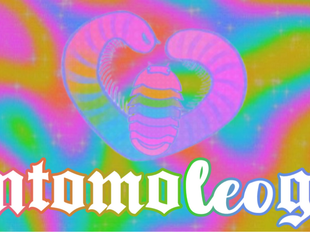 Fundraiser’s main image