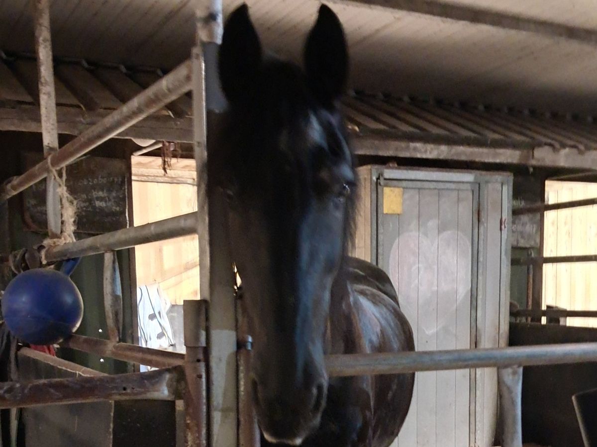 Hoofdafbeelding van de inzamelingsactie